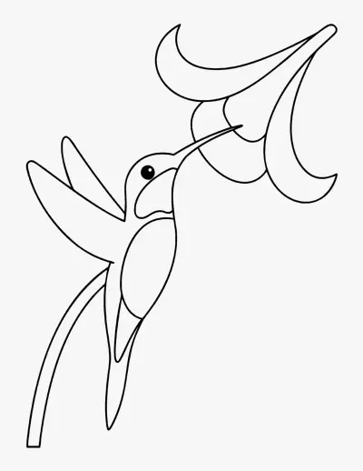 Hummingbird coloring page