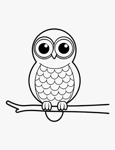 Owl coloring page