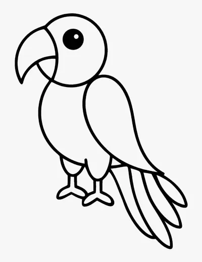 Parrot coloring page