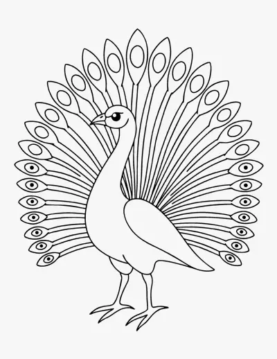 Peacock coloring page