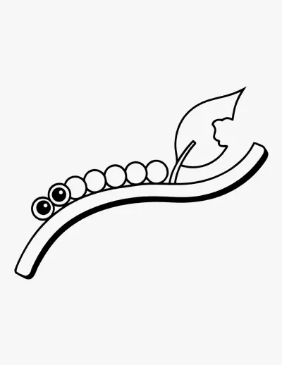 Caterpillar coloring page