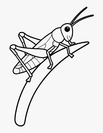 Grasshopper coloring page