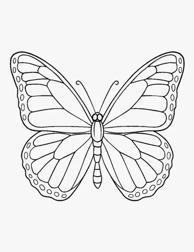 Monarch Butterfly coloring page