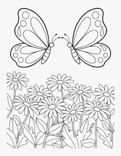 Two Butterflies and Daisies coloring page