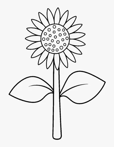 Sunflower coloring page