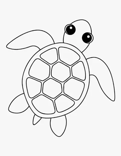 Sea Turtle coloring page