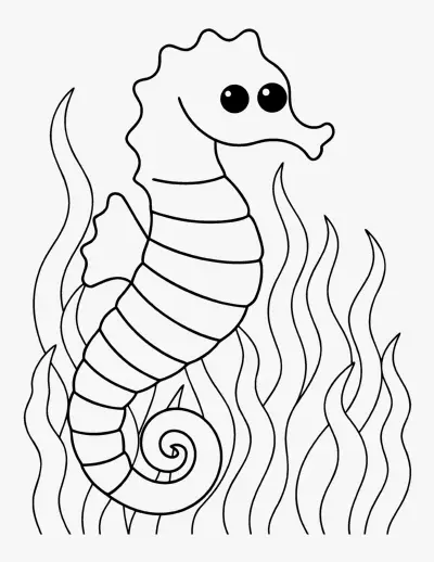 Seahorse coloring page