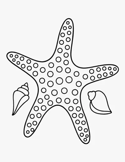 Starfish coloring page
