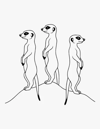 Meerkats coloring page