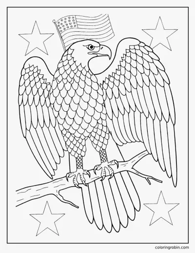Bald Eagle coloring page