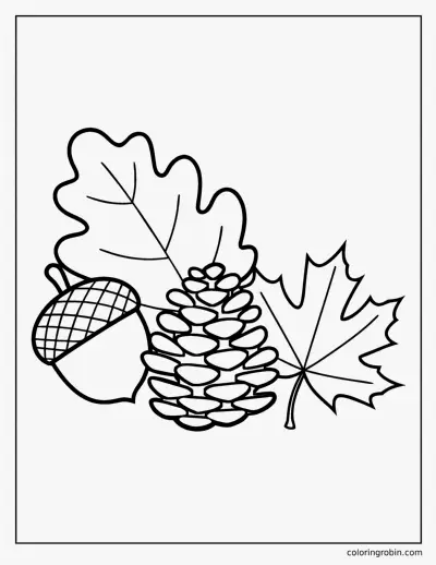 Acorn Pinecone and Leaves coloring page