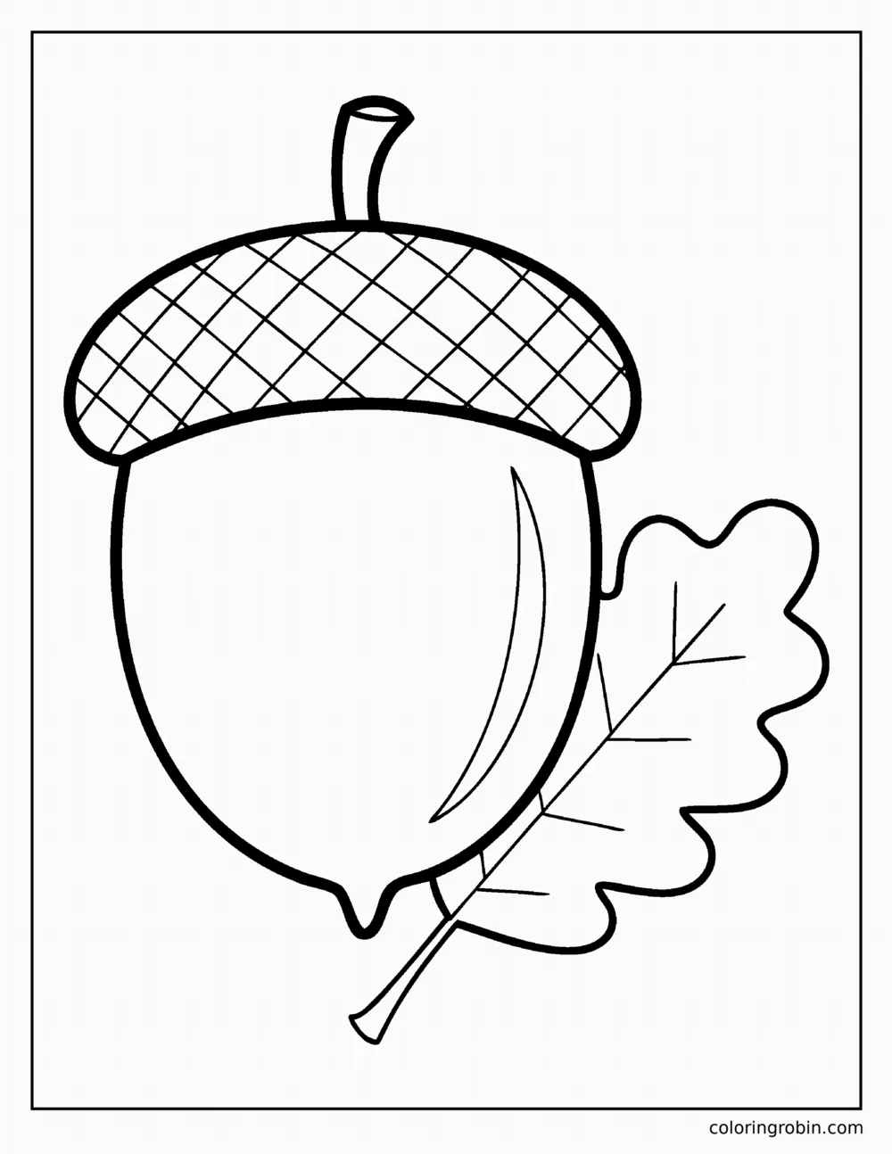 Big Acorn coloring page