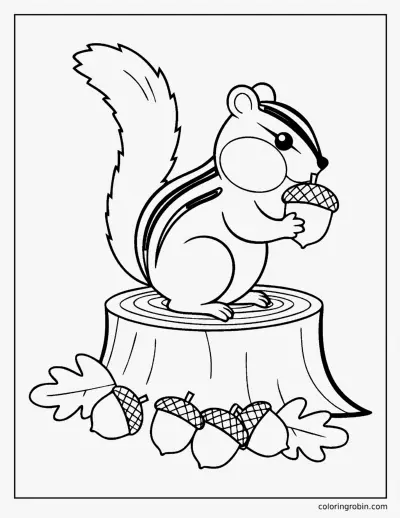 Chipmunk with Acorns coloring page