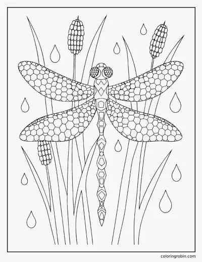 Dragonfly and Reeds coloring page