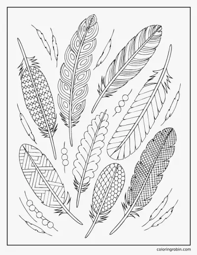 Feather Collection coloring page