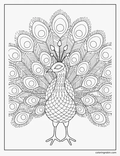 Peacock in Full Display coloring page