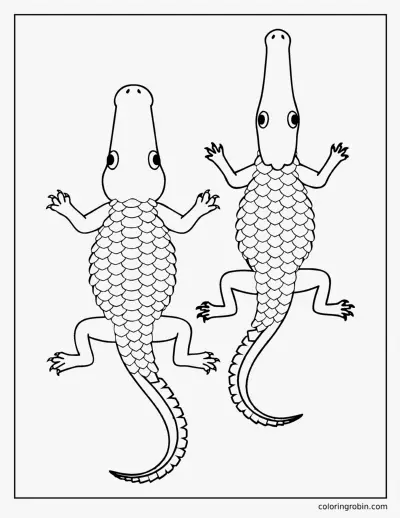 Alligator and Crocodile from Above coloring page