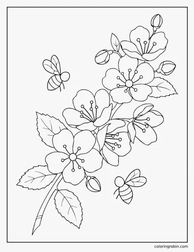 Apple Blossom coloring page