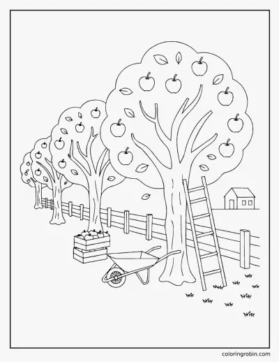 Apple Orchard coloring page