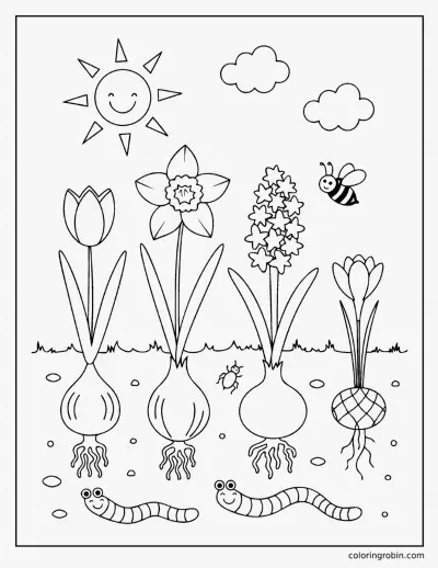 Bulbs Growing Underground coloring page