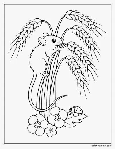 Harvest Mouse in the Wheat coloring page