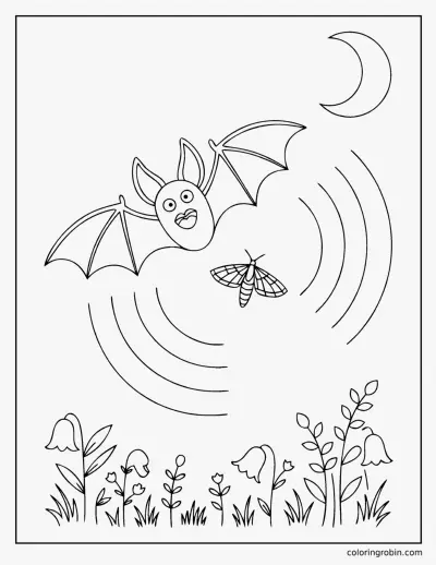 Bat Using Echolocation coloring page