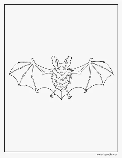 Realistic Bat coloring page