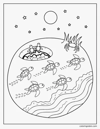 Turtle Hatchlings on the Beach coloring page
