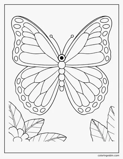 Blue Morpho Butterfly coloring page