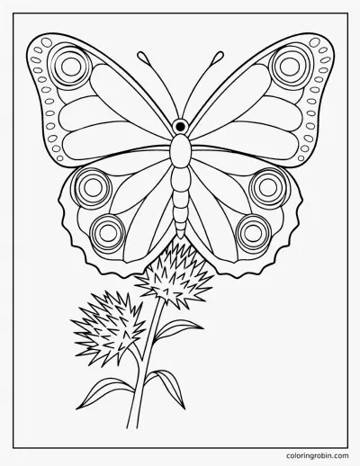 Peacock Butterfly coloring page