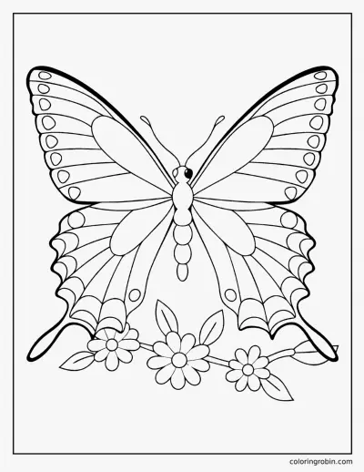 Swallowtail Butterfly coloring page