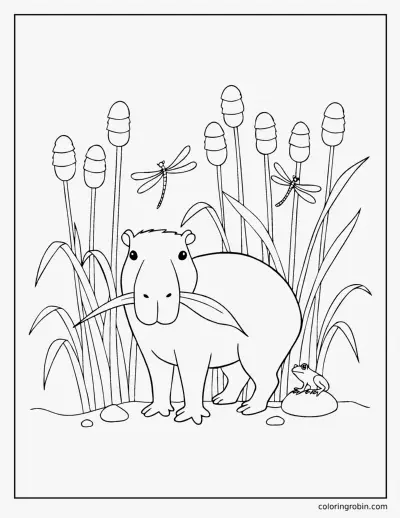 Capybara in the Reeds coloring page