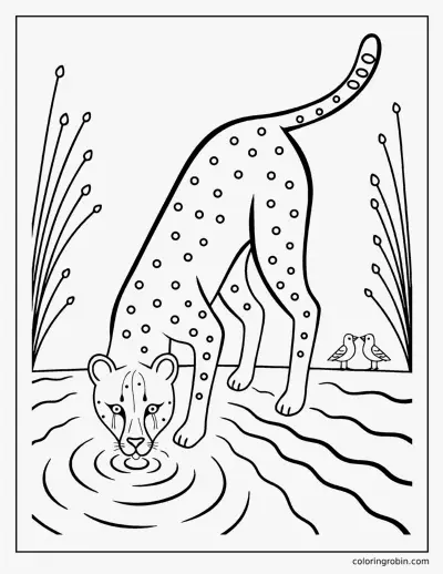 Cheetah at the Waterhole coloring page