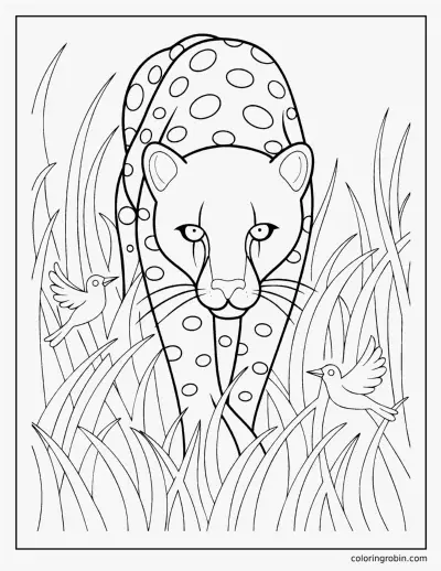 Cheetah in Tall Grass coloring page