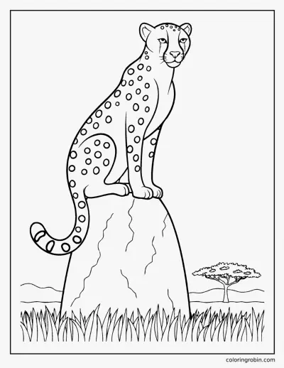 Cheetah on a Termite Mound coloring page