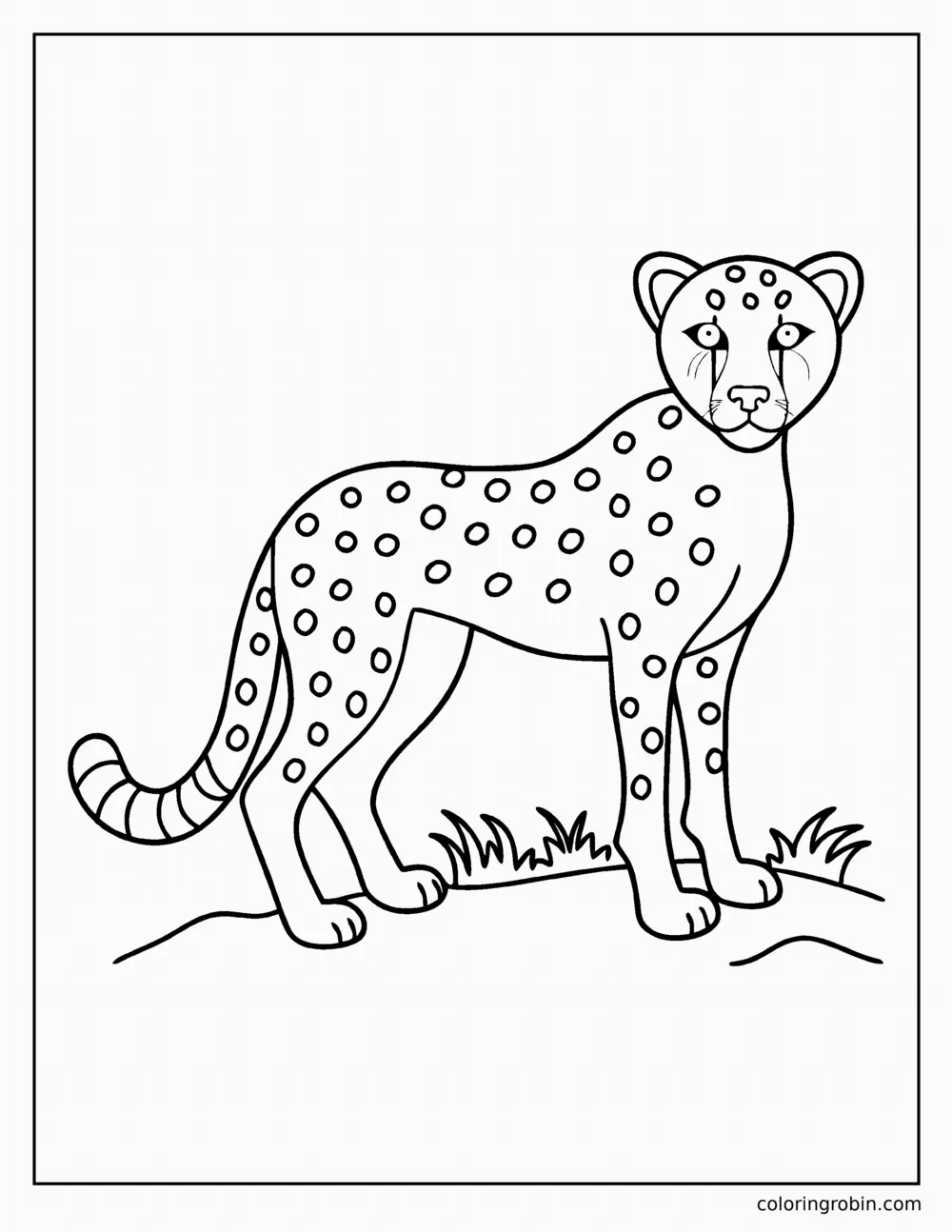 Cheetah coloring page