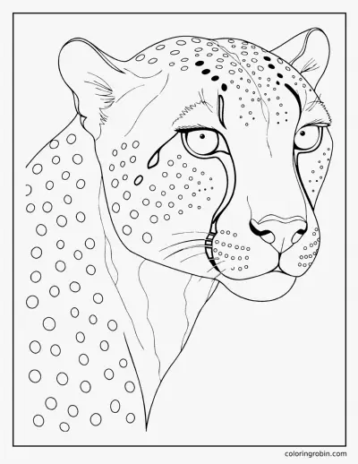 Realistic Cheetah coloring page