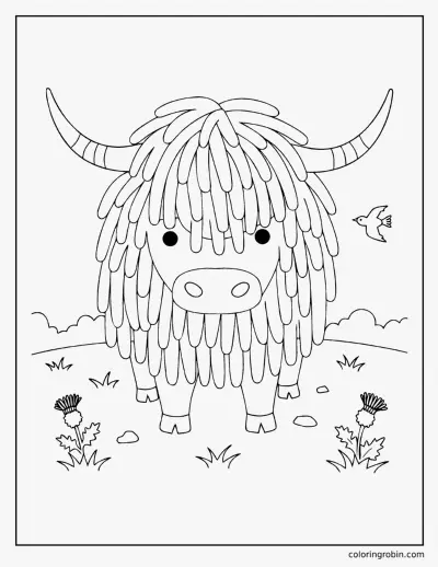 Highland Cow coloring page
