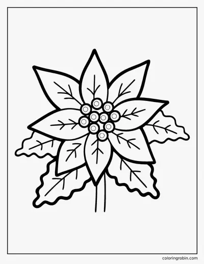 Big Poinsettia coloring page