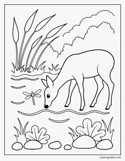 Deer at the Forest Stream coloring page