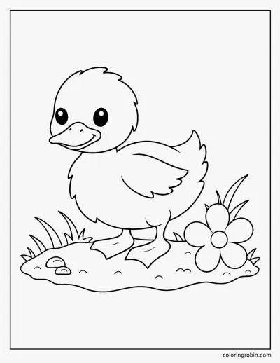 Cute Baby Duckling coloring page