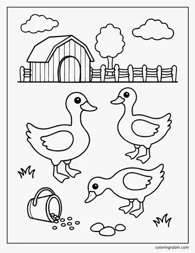 Ducks at the Farmyard coloring page