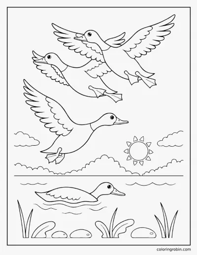 Ducks Flying over the Lake coloring page