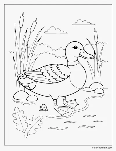 Mallard Duck by the Reeds coloring page