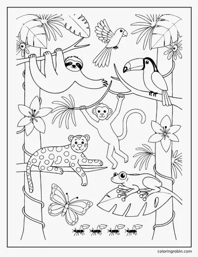 Rainforest Animals coloring page