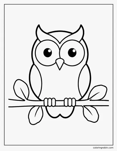 Owl on a Branch coloring page