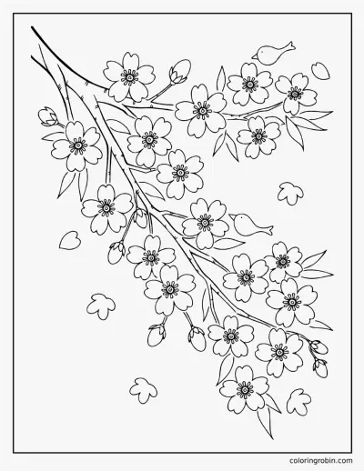 Cherry Blossom Branch coloring page