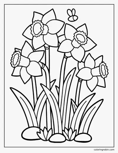 Daffodils coloring page