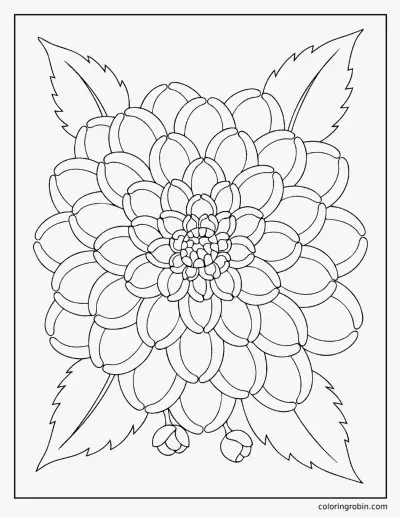 Dahlia Close Up coloring page