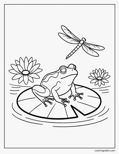 Frog on a Lily Pad coloring page